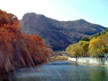 管家婆黑白马报图库，xuanhuanxiaoshuo